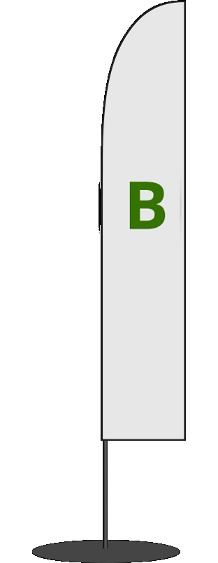 Form B